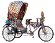 Rickshaw Icon